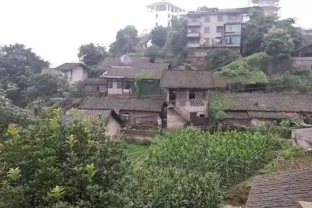 u=644692701,3117249697&fm=253&fmt=auto&app=138&f=JPEG