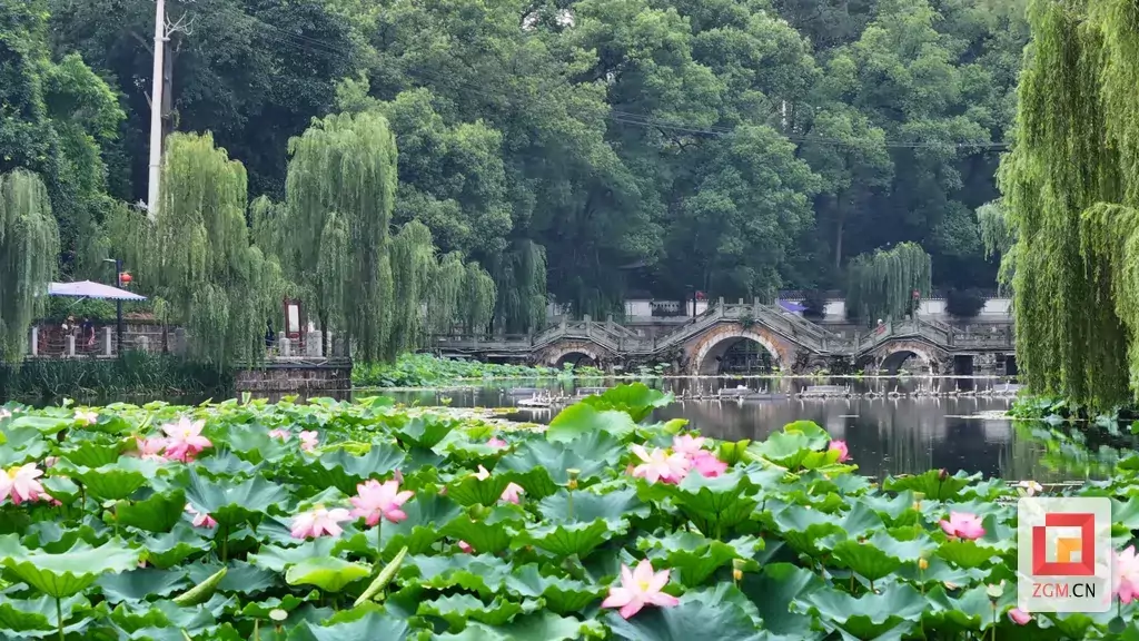 富顺西湖.png