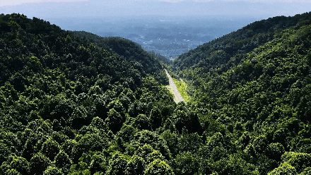 bee4c3d44a85e15708e93a246895ba9f_640_wx_fmt=gif&from=appmsg&tp=webp&wxfrom=5&wx_lazy=1#imgIndex=21