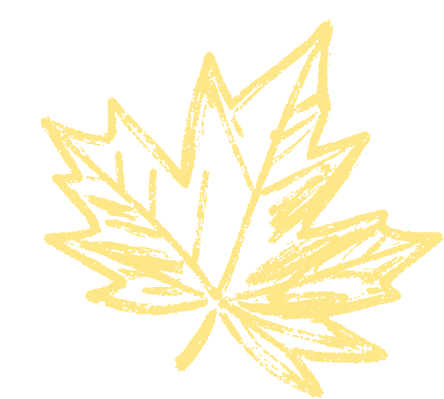 时令健康录丨暑退凉生 收敛润燥 正是养阴收阳好时节-华龙网-重庆市委市政府官方新闻门户