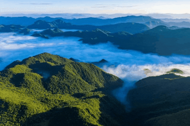 274083d58ce44d379c8d3977233621d7